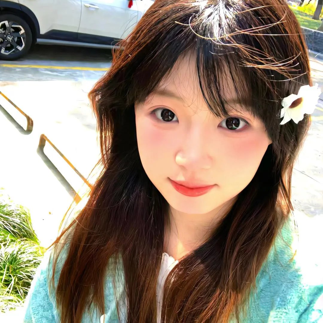 爱莉思的情书