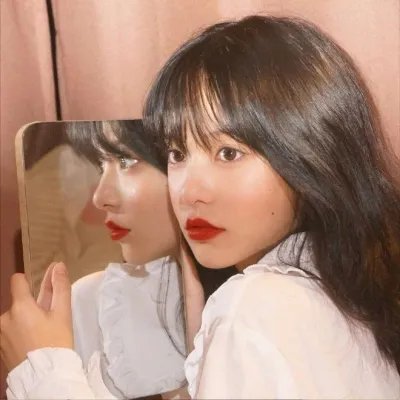 血玫瑰